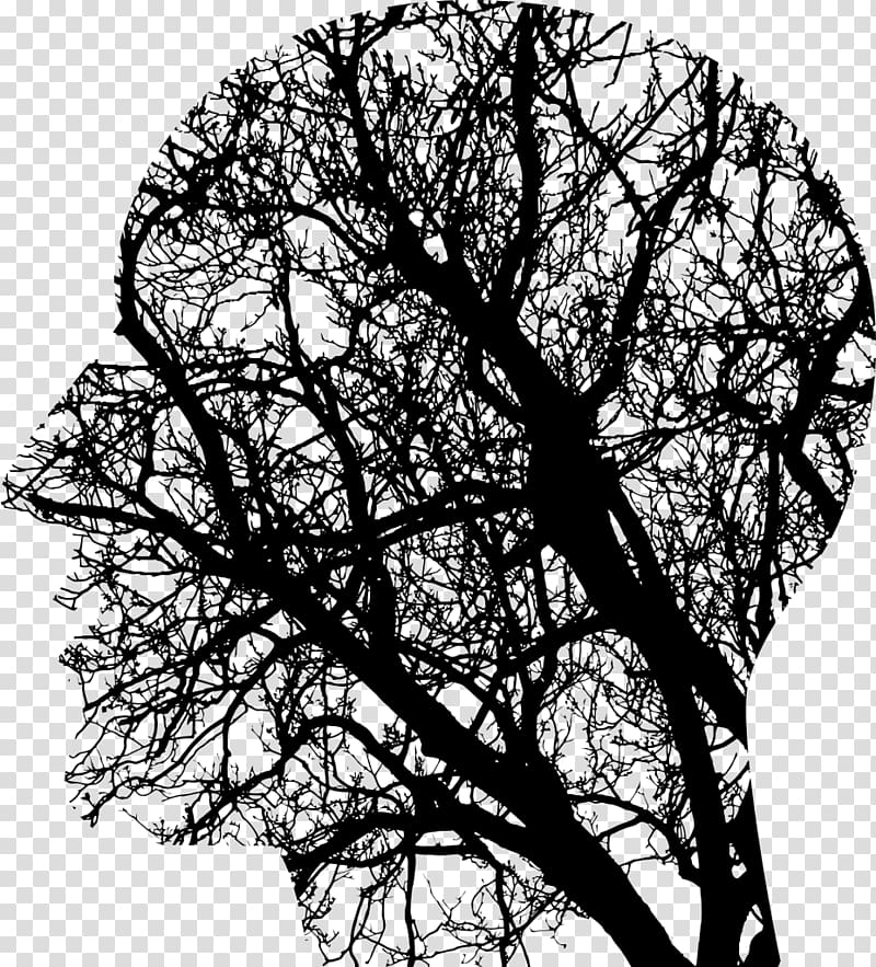 Brain injury Neuroscience Human brain Working memory, Brain transparent background PNG clipart