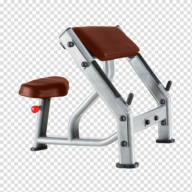 Exercise machine Sport Biceps curl Fitness Centre, gym equipment transparent background PNG clipart