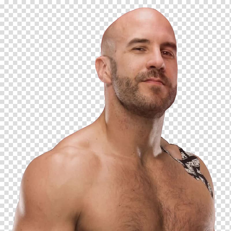 Cesaro WWE \'13 2016 WWE draft WWE Raw, sheamus transparent background PNG clipart