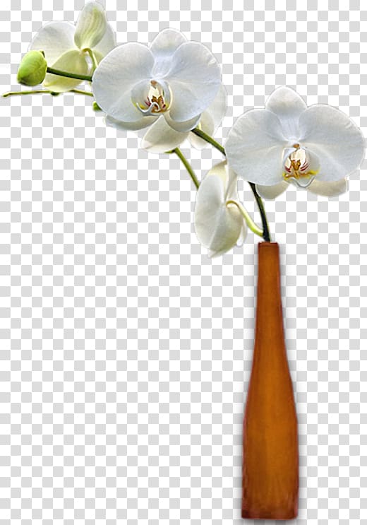 Vase Cut flowers Moth orchids, vase transparent background PNG clipart