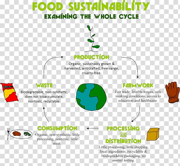 Organic food Sustainability Food systems Food processing, others transparent background PNG clipart