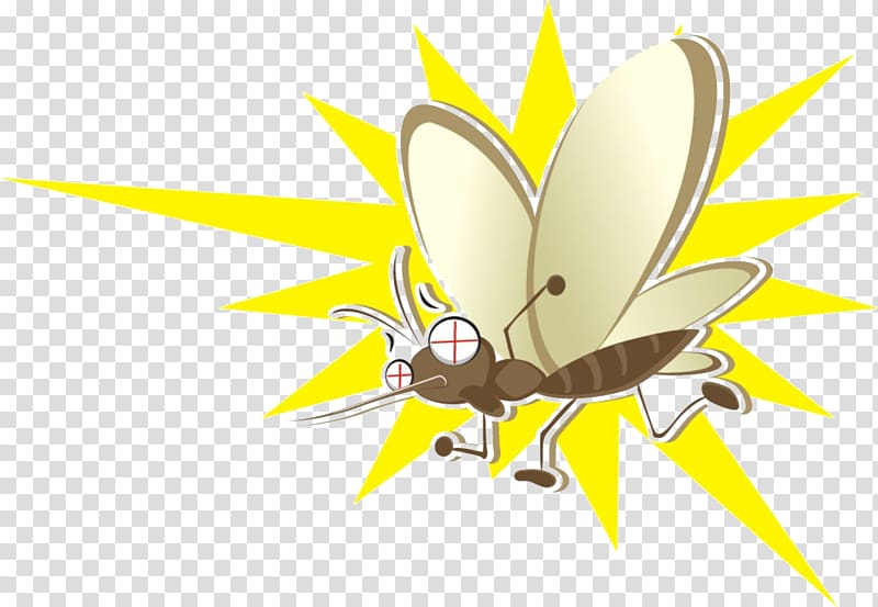 Mosquito Insect Cartoon, Mosquito cartoon transparent background PNG clipart