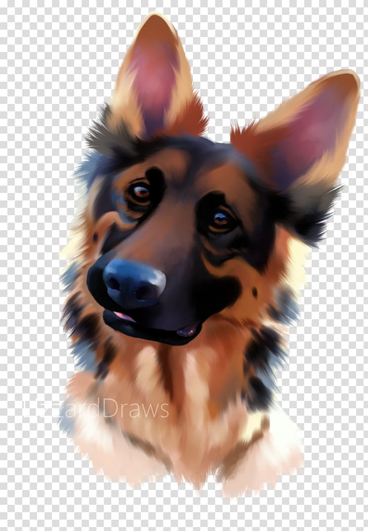 German Shepherd Puppy Companion dog Dog breed Snout, puppy transparent background PNG clipart