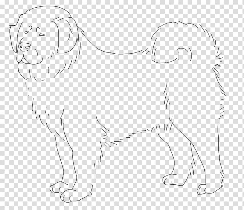 Dog breed Puppy Whiskers Sketch, Tibetan Mastiff transparent background PNG clipart