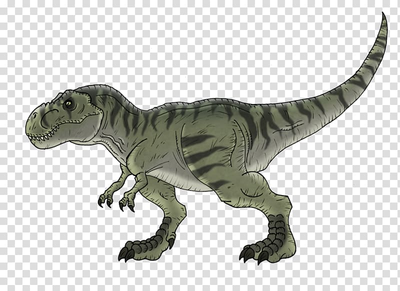 Tyrannosaurus Spinosaurus Velociraptor Triceratops Giganotosaurus, tyrannosaurus transparent background PNG clipart