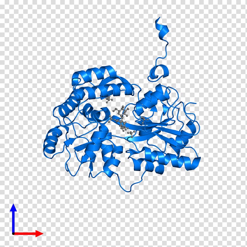 Protein Data Bank Alpha-synuclein Pfam, transparent background PNG clipart