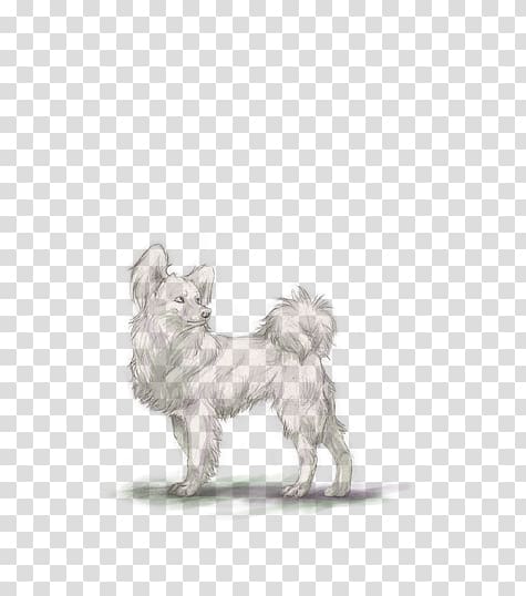 West Highland White Terrier Puppy Papillon dog Jack Russell Terrier Dog breed, papillon puppies transparent background PNG clipart