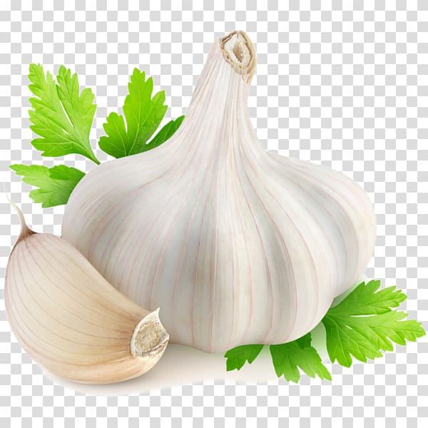 Garlic Herbalism Food Medicine, garlic transparent background PNG clipart