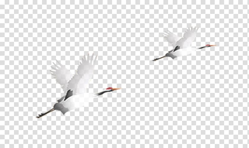Qingming Google , Flying Crane transparent background PNG clipart