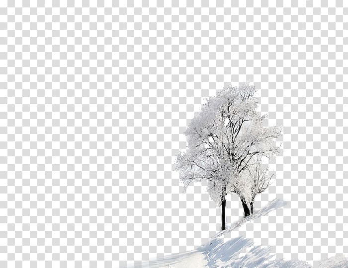 snow covered tree, Daxue Winter Snow , Two trees in the winter transparent background PNG clipart