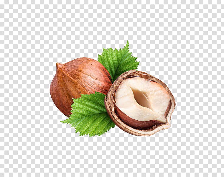 Hazelnut Common hazel Nuts Chocolate bar, others transparent background PNG clipart