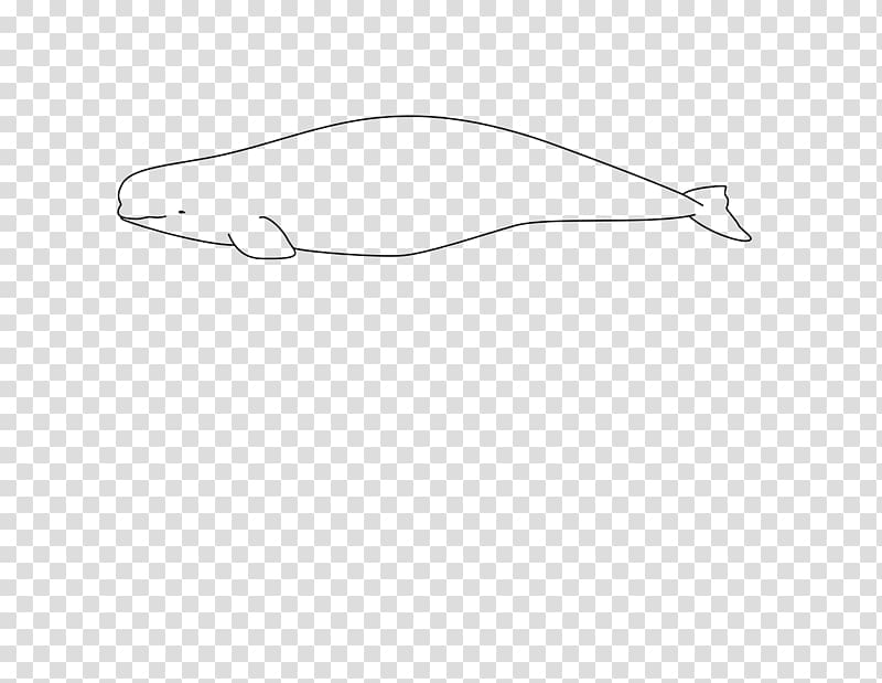 Beluga whale Arctic Der Weisswal: Delphinapterus leucas Cetacea Narwhal, Beluga Whale transparent background PNG clipart