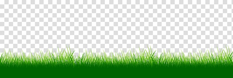 Lawn Grasses Desktop Energy Grassland, summer sports transparent background PNG clipart