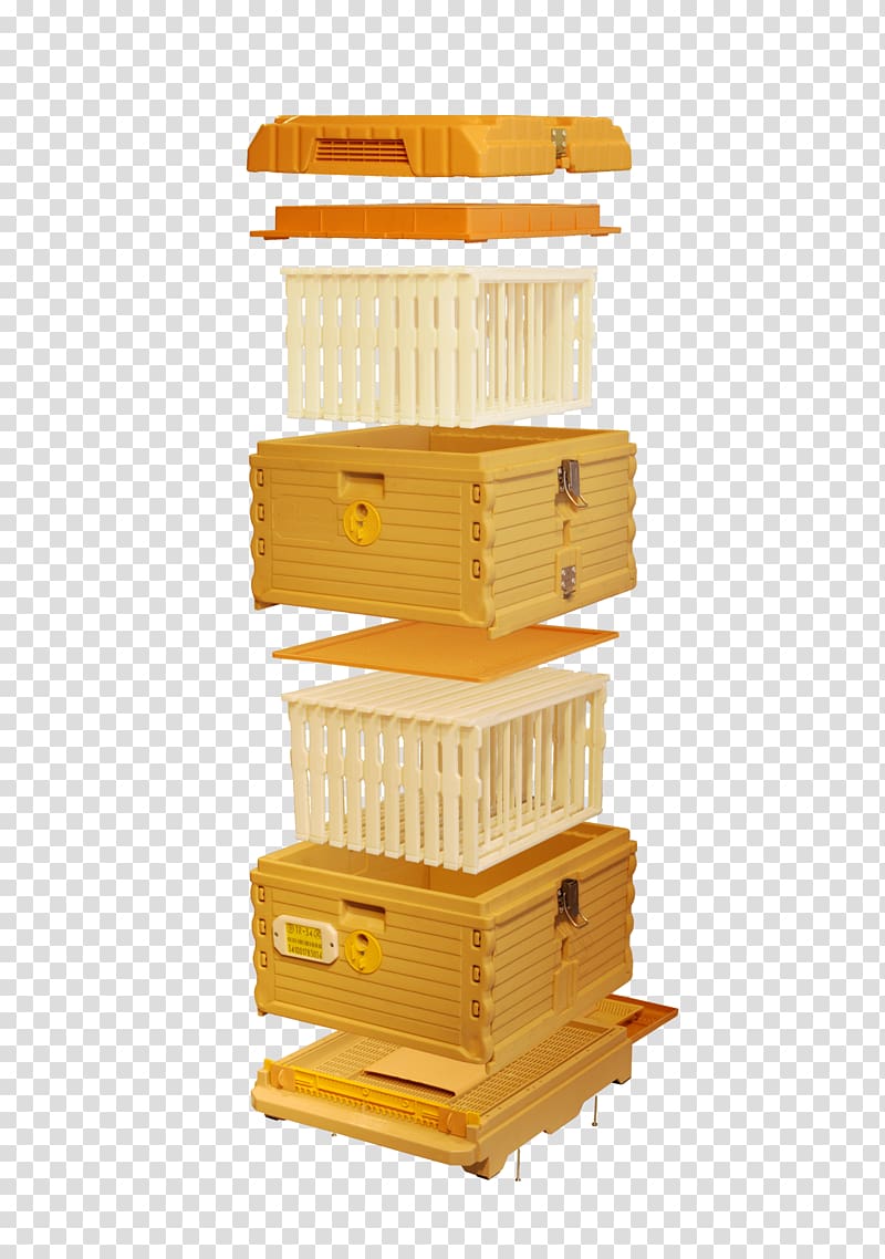 Western honey bee Beehive Langstroth hive Beekeeping, bee transparent background PNG clipart