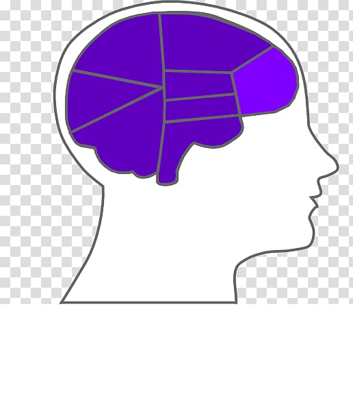 Outline of the human brain , Brain transparent background PNG clipart