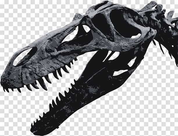 Torvosaurus Tyrannosaurus Maxilla Dinosaur Jaw, dinosaur transparent background PNG clipart