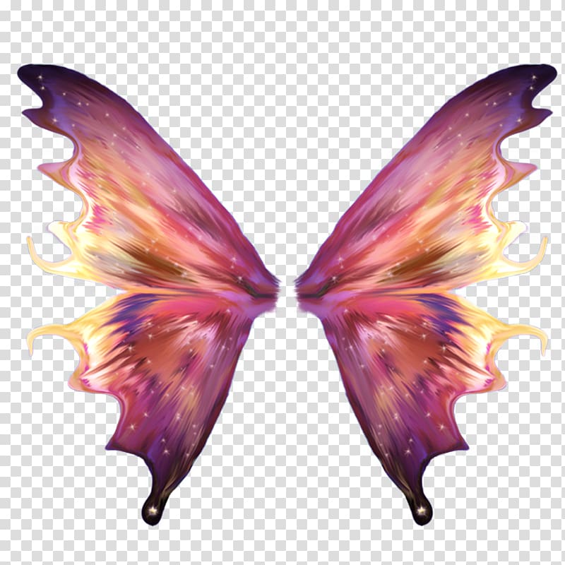 purple and multicolored butterfly wings illustration, Fairy Desktop Wings, Fairy transparent background PNG clipart