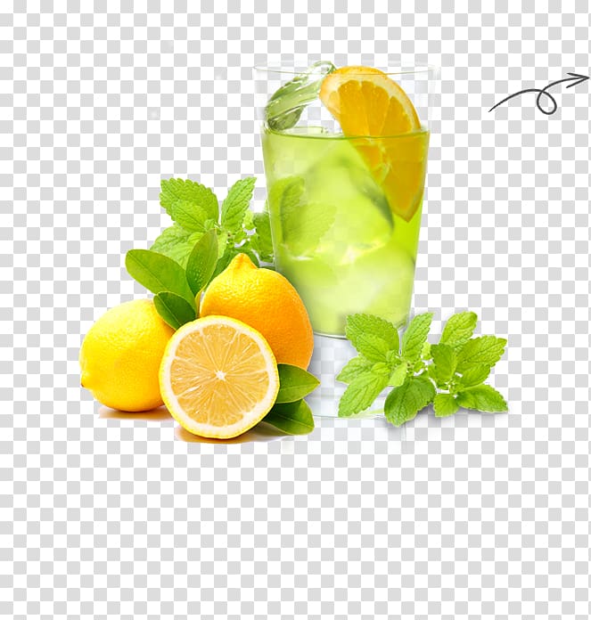 Lemonade Cocktail garnish Limonana Mojito, lemon transparent background PNG clipart