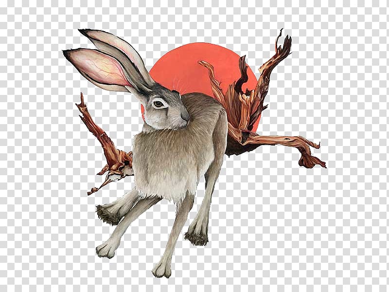Domestic rabbit Hare, Rabbit and branches transparent background PNG clipart