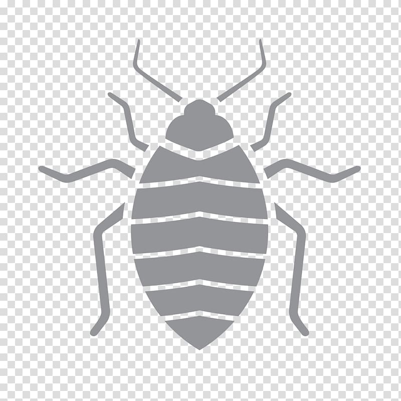 Pest Control Insect Exterminator Termite, insect transparent background PNG clipart