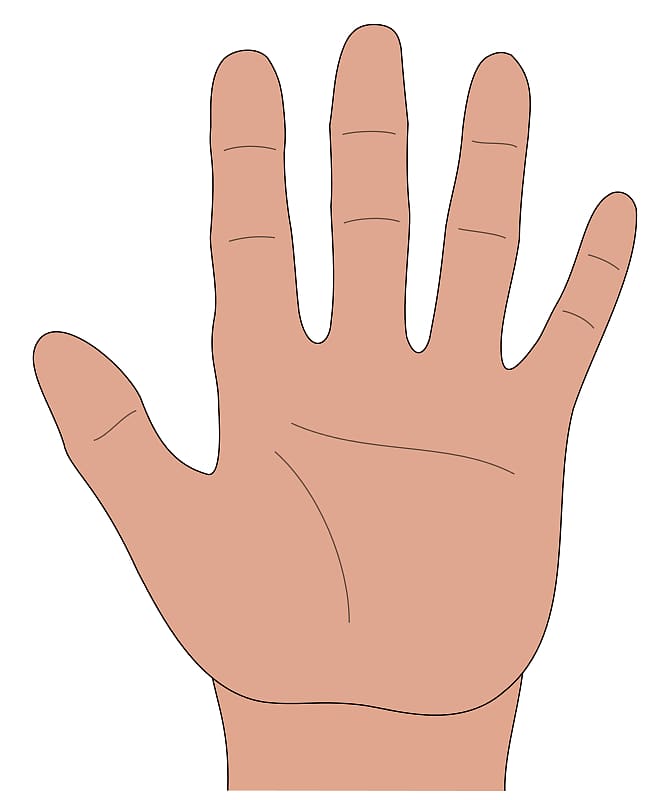 Hand Drawing , Open transparent background PNG clipart
