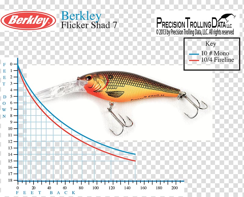 Fishing Baits & Lures