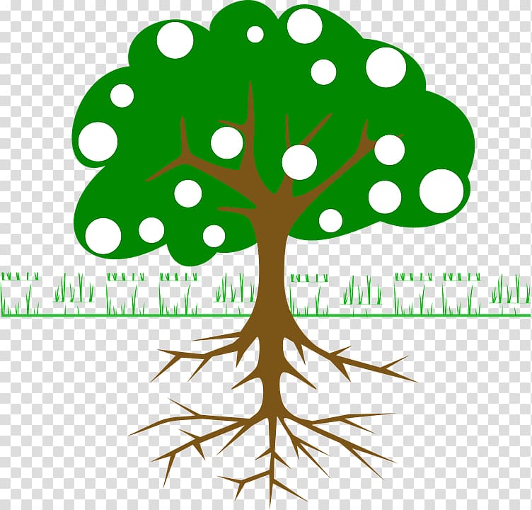 Tree Open Branch Root, tree transparent background PNG clipart