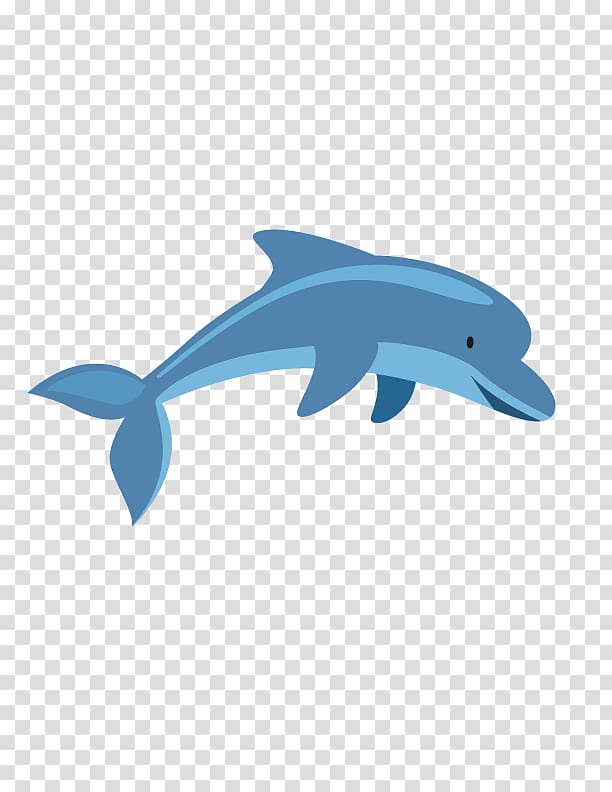 Common bottlenose dolphin Tucuxi, Cute dolphin transparent background PNG clipart