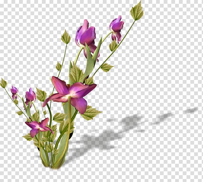 Floral design Cut flowers Petal Plant, flower transparent background PNG clipart