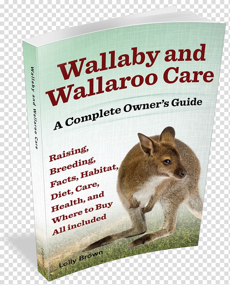 Wallaby and Wallaroo Care: A Complete Owner's Guide Rabbit Wallaby Reserve Axolotl, rabbit transparent background PNG clipart