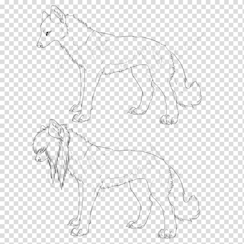 Lion Cat Line art Terrestrial animal Wildlife, rabitt and wolf transparent background PNG clipart