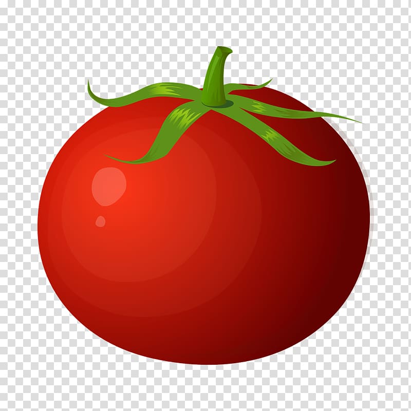 Tomato Vegetable Pomodoro Technique, Bright tomato transparent background PNG clipart