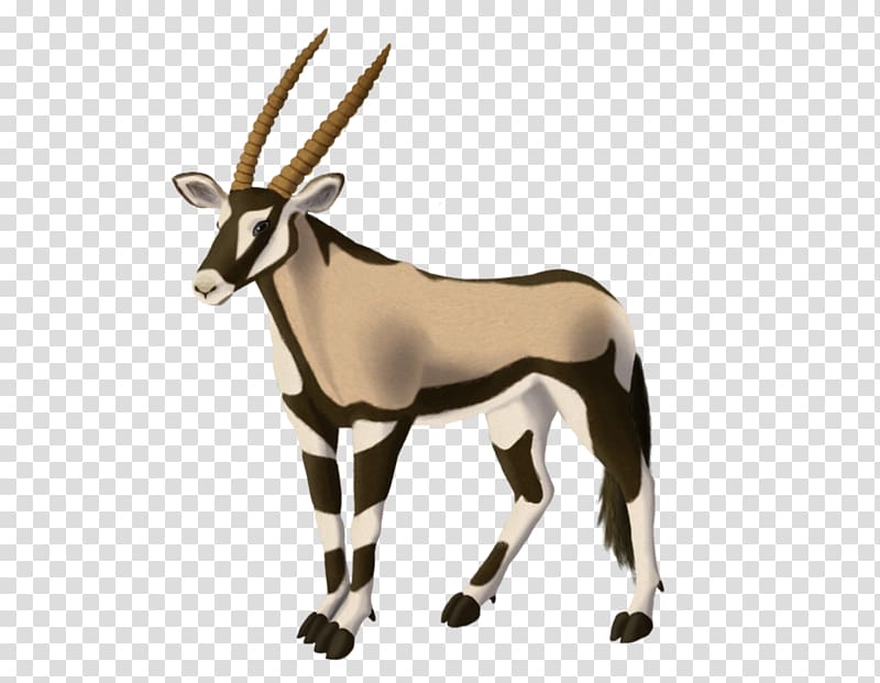 Gemsbok Antelope Gazelle Horn Even-toed ungulates, gazelle transparent background PNG clipart