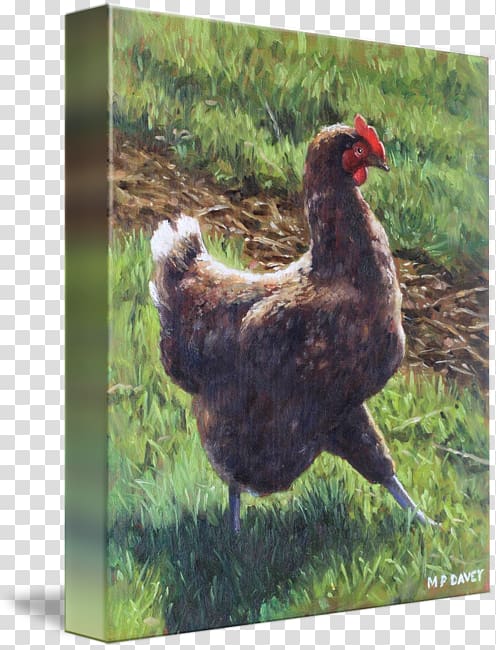 Rooster Chicken Printing Oil painting reproduction, chicken in pasture transparent background PNG clipart
