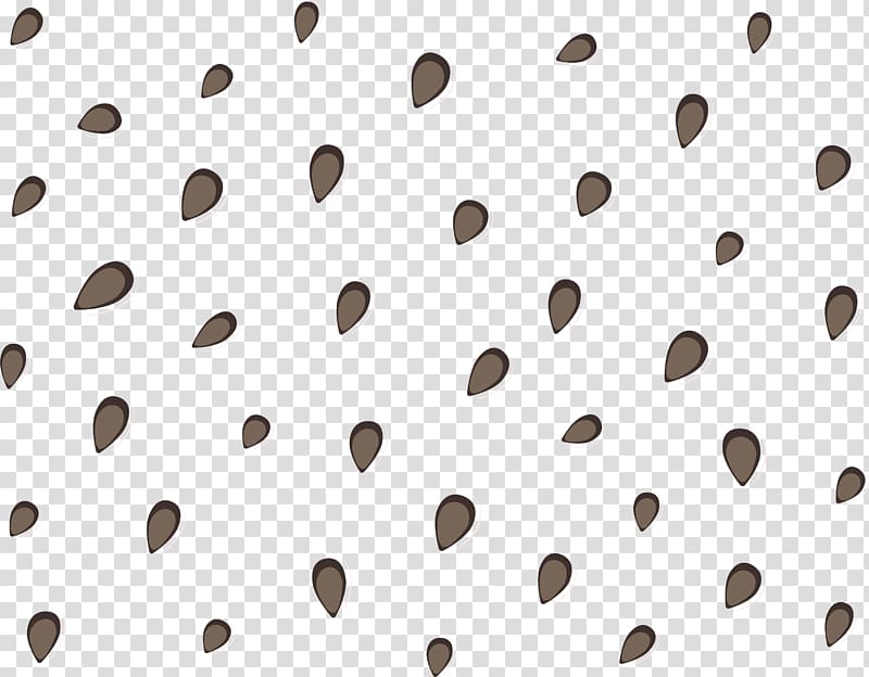 seeds illustration, Line Angle Point, Watermelon seeds floating material transparent background PNG clipart