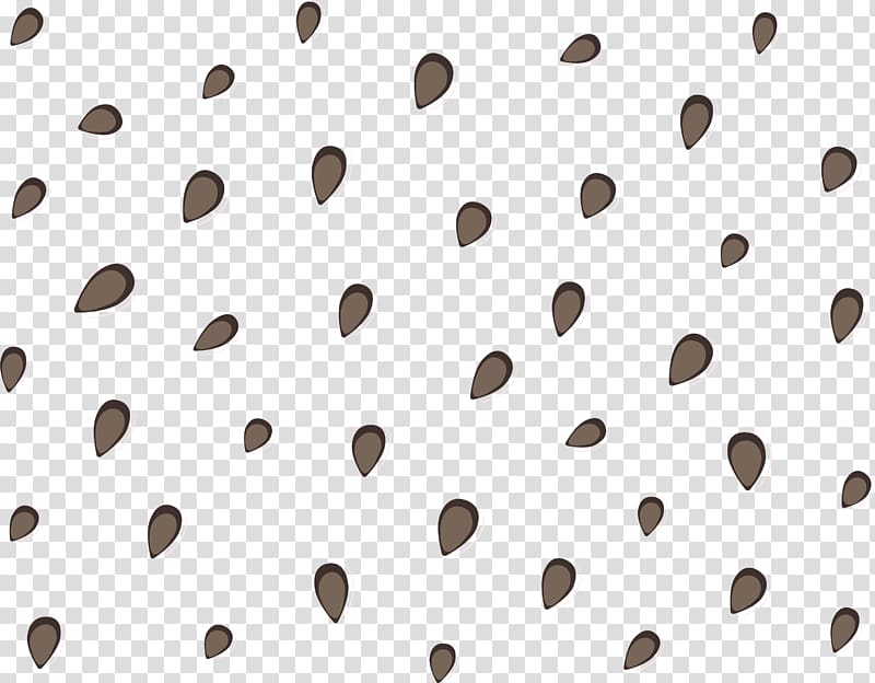 Seeds illustration, Line Angle Point, Watermelon seeds floating material  transparent background PNG clipart