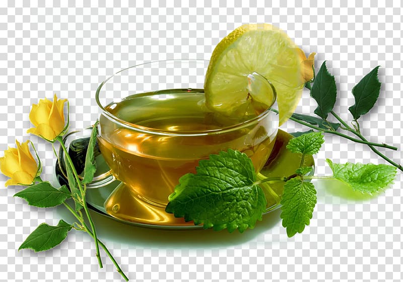 Herbal tea Coffee Mentha spicata Infusion, Tea Zhancha water creatives transparent background PNG clipart