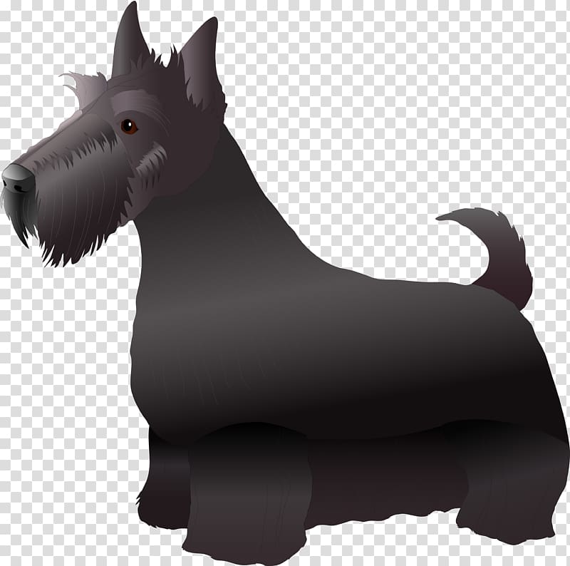 Scottish Terrier Miniature Schnauzer West Highland White Terrier Car, Dog transparent background PNG clipart