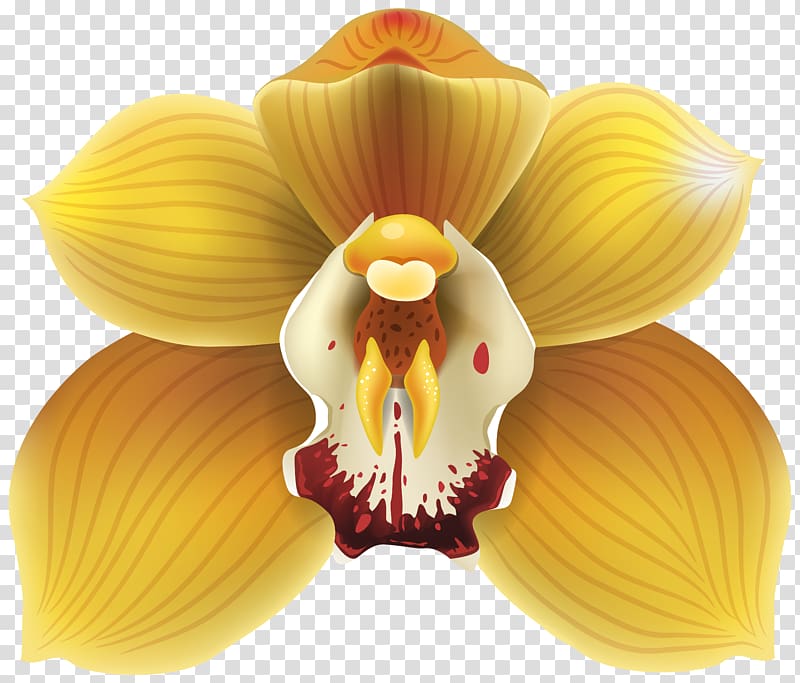 Orchids Yellow , Orchid transparent background PNG clipart