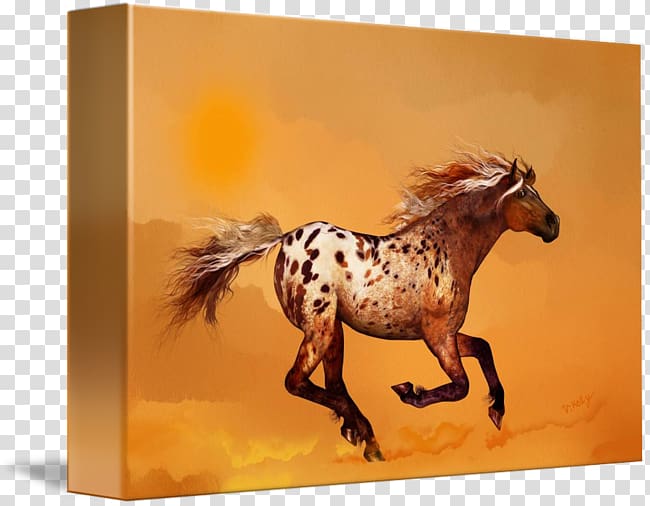 Appaloosa Mustang Stallion Pony Gallery wrap, ginger watercolor transparent background PNG clipart