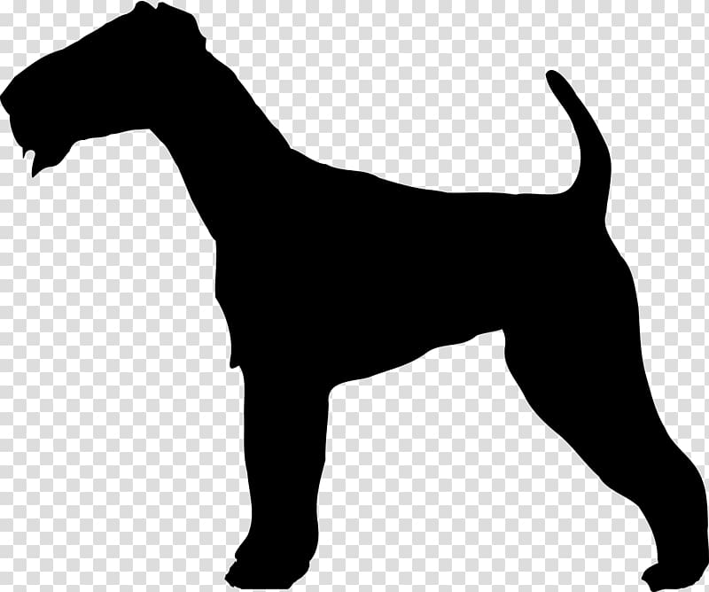 Irish Terrier Border Terrier Yorkshire Terrier Welsh Terrier Jack Russell Terrier, Dog outline transparent background PNG clipart
