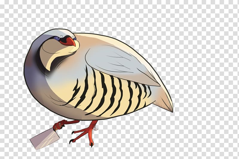 Bird Hatoful Boyfriend Phasianidae , watercolor big mouth bird transparent background PNG clipart