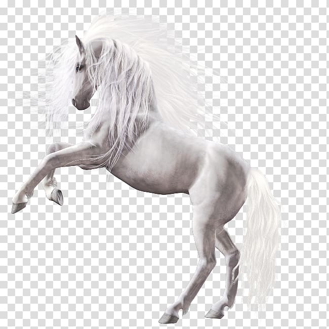 Horse Icon, White Horse transparent background PNG clipart