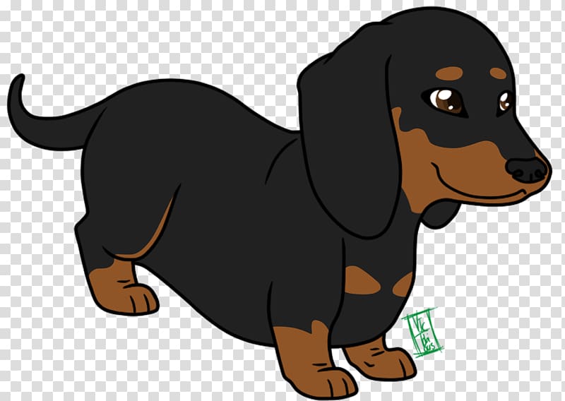 Dachshund Puppy Cartoon Animation , cute dog transparent background PNG