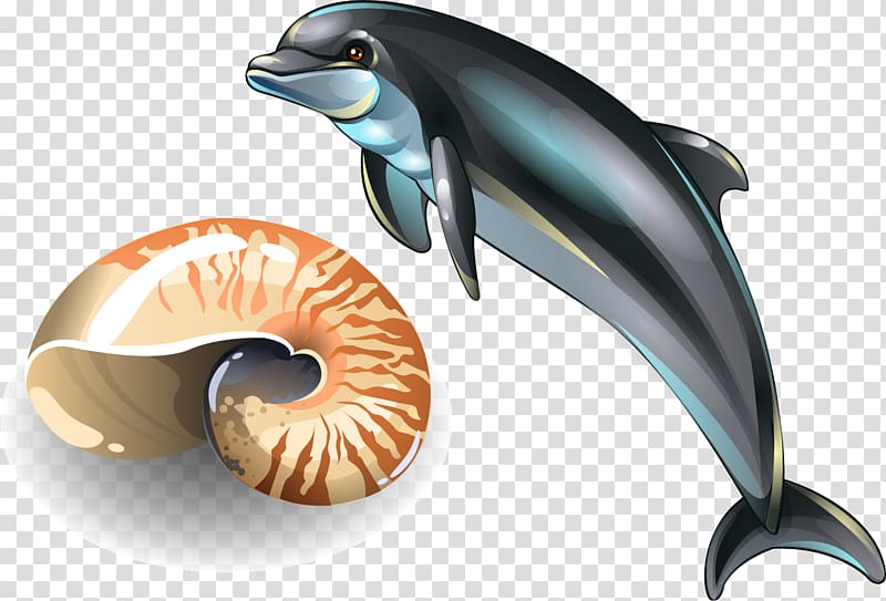 Seashell Drawing Shellfish , Dolphin elements transparent background PNG clipart