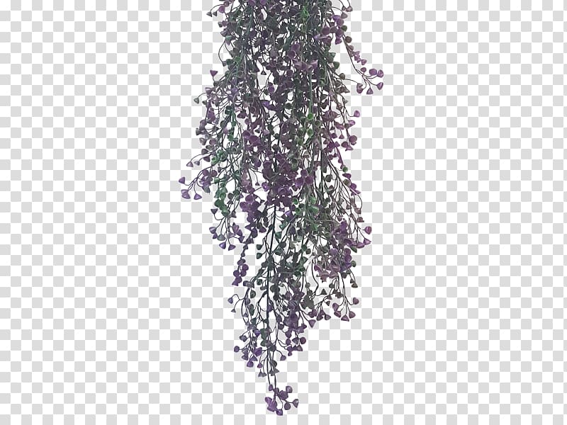 Common lilac Shrub Color Plant, others transparent background PNG clipart