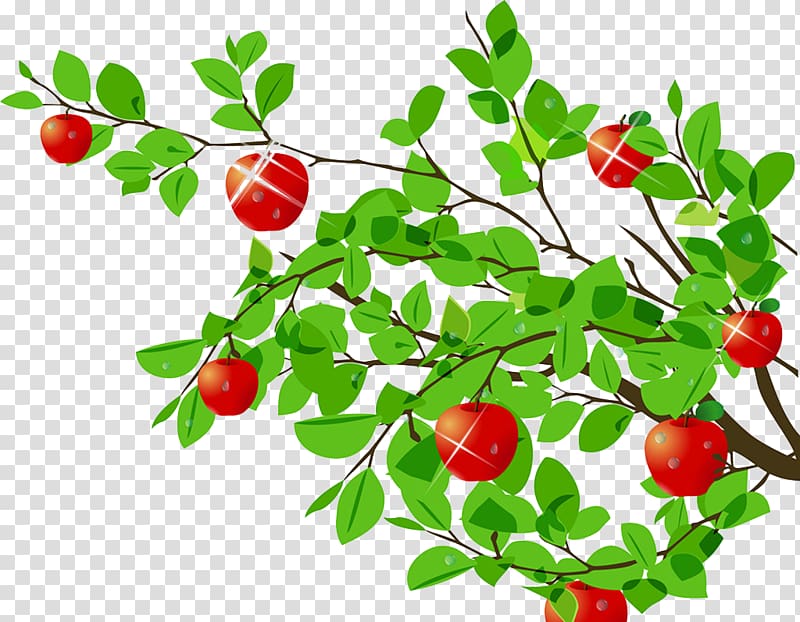 Tree Apple Cartoon, Beautiful apple tree transparent background PNG clipart