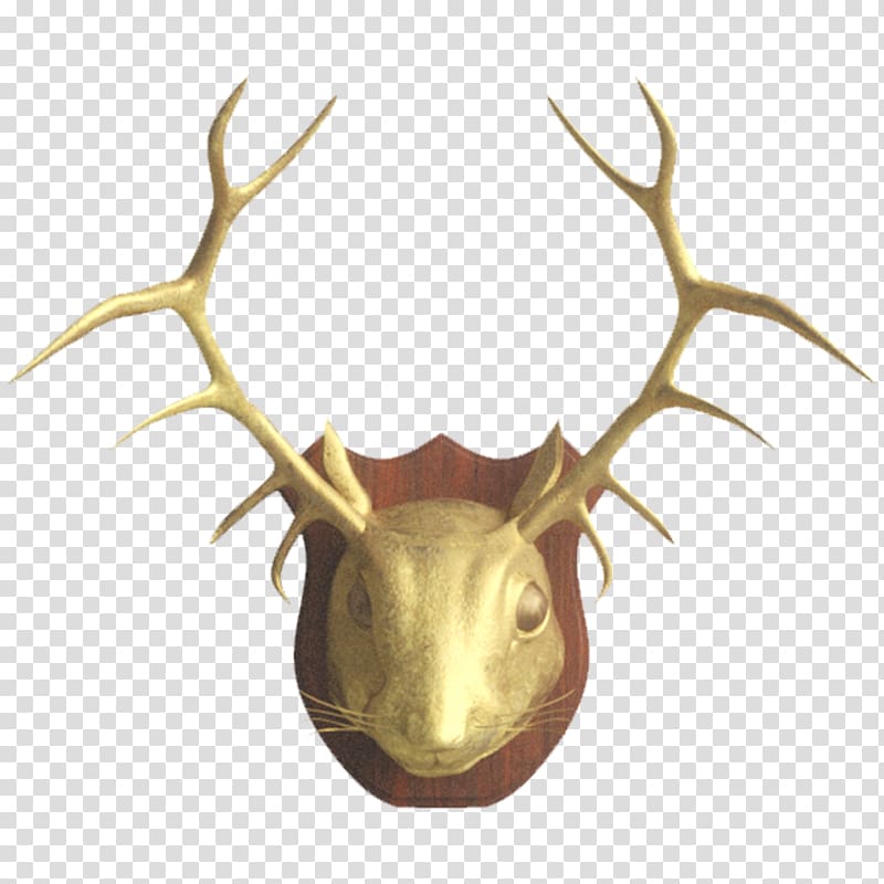 Outlook.com Email Deer Itsourtree.com Antler, realistic different nuts transparent background PNG clipart