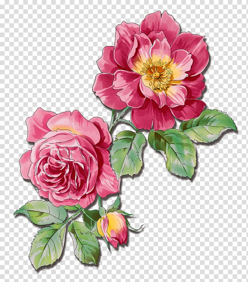 Flower Rose Watercolor painting, flowers transparent background PNG clipart