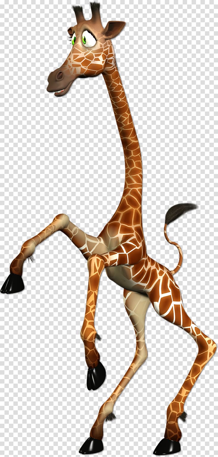 Northern giraffe Blog , others transparent background PNG clipart